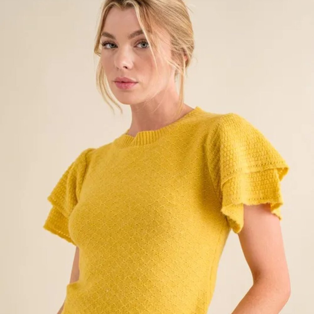 And The Why Double Layered Ruffle Sleeves Sweater Top